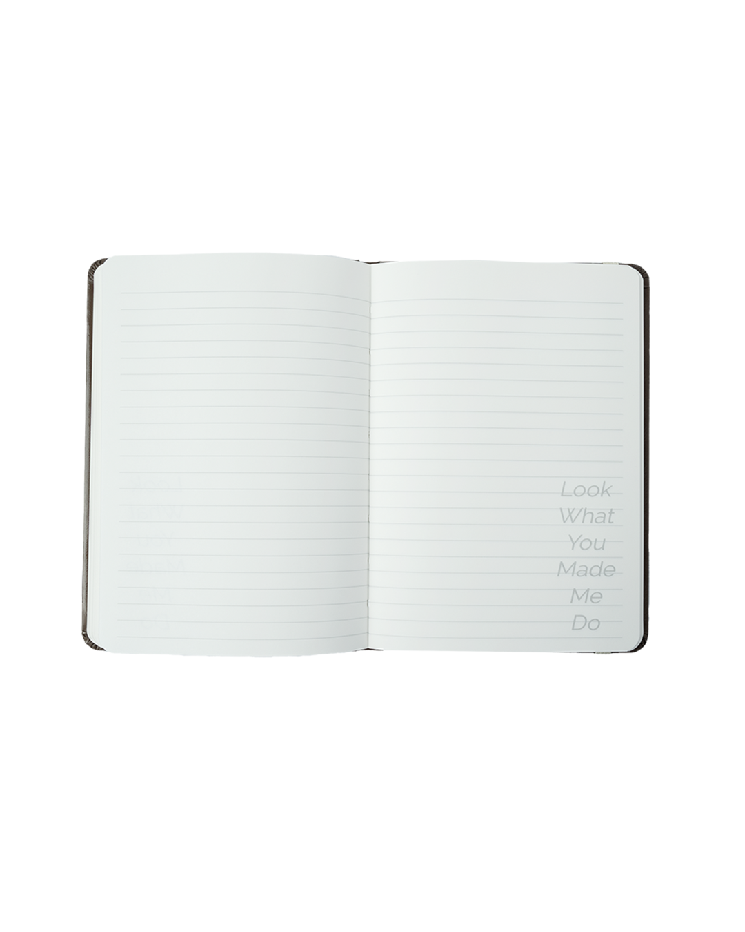Taylor Swift - Jack Leopards & The Dolphin Club Notebook