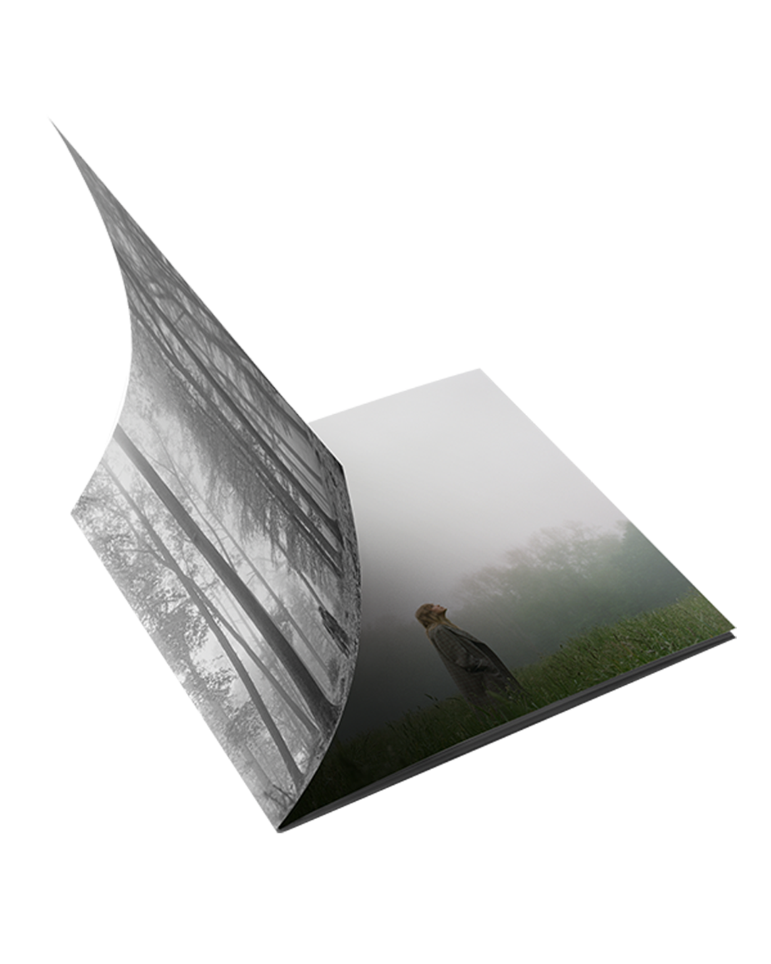 Taylor Swift - 1. the “in the trees" edition deluxe cd