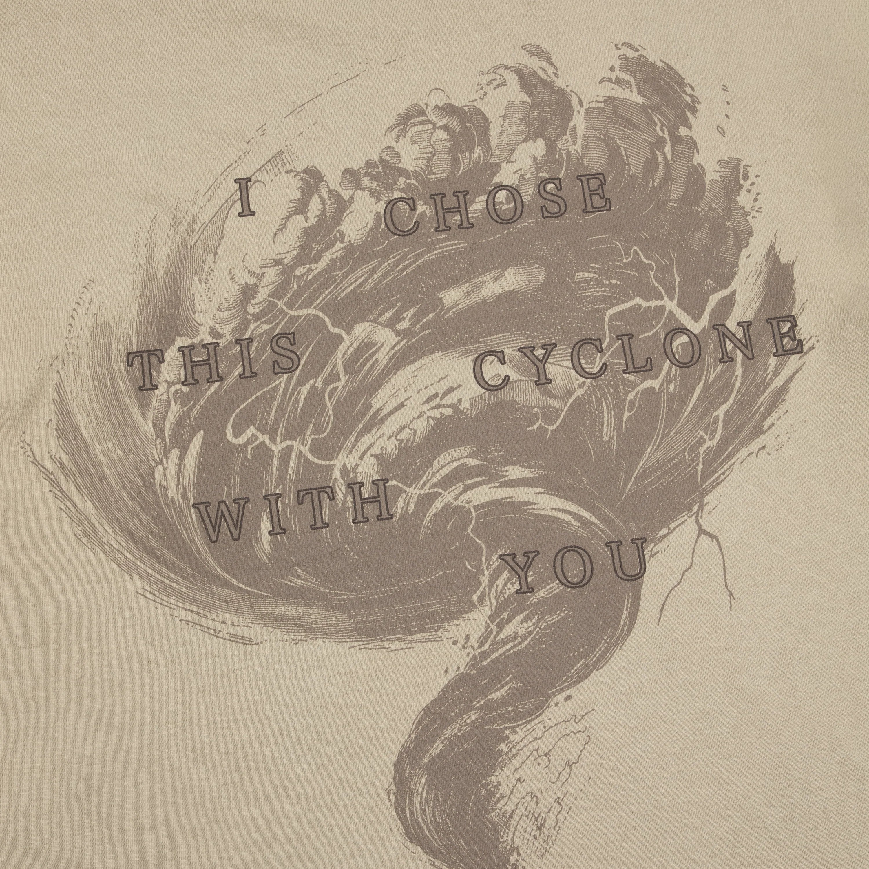 Taylor Swift - I Chose This Cyclone With You T-Shirt