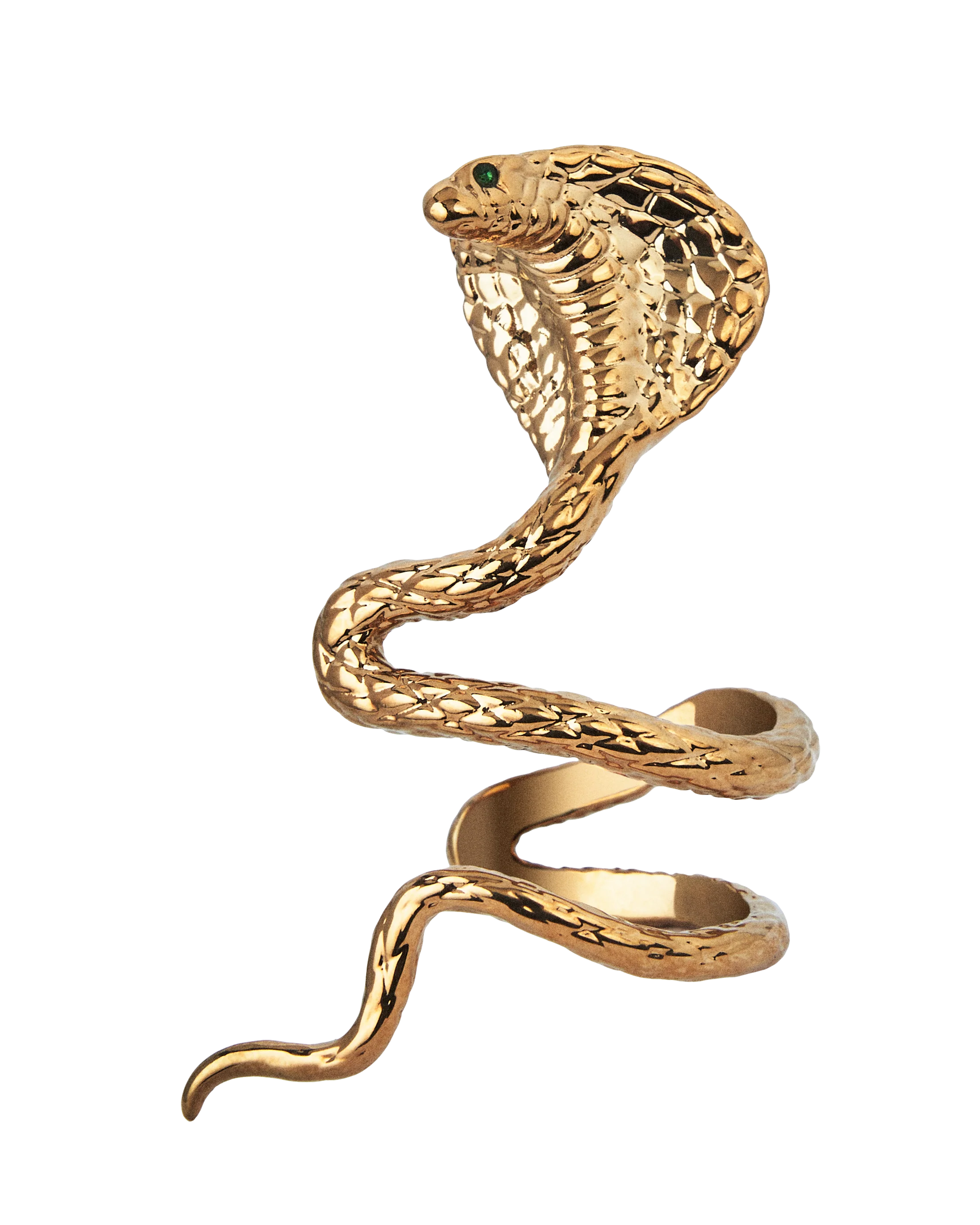 Taylor Swift - Reputation Album Snake Ear Cuff