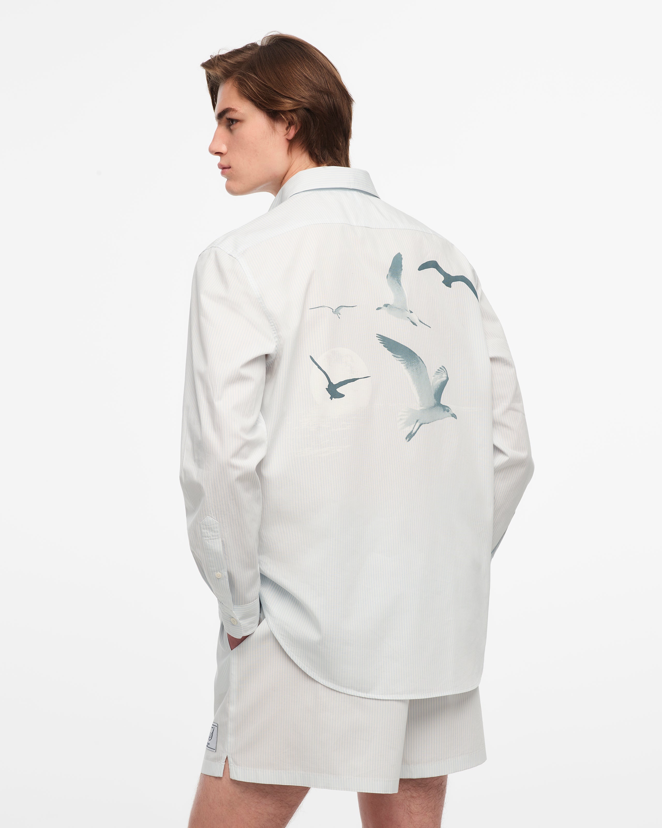 Taylor Swift - 1989 (Taylor’s Version) Seagull Blue Stripe Poplin Shirt