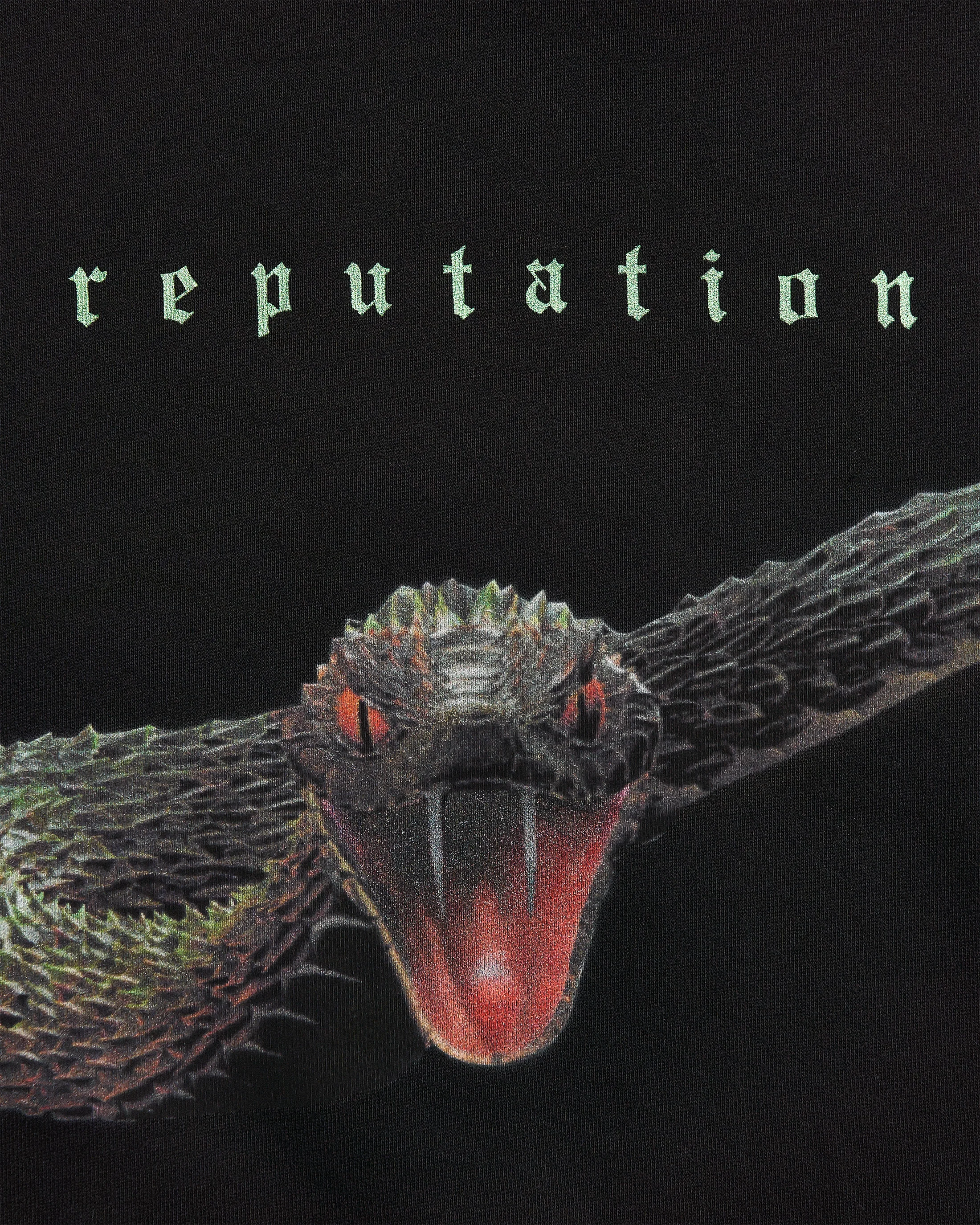 Taylor Swift - Reputation Album Snake Hoodie