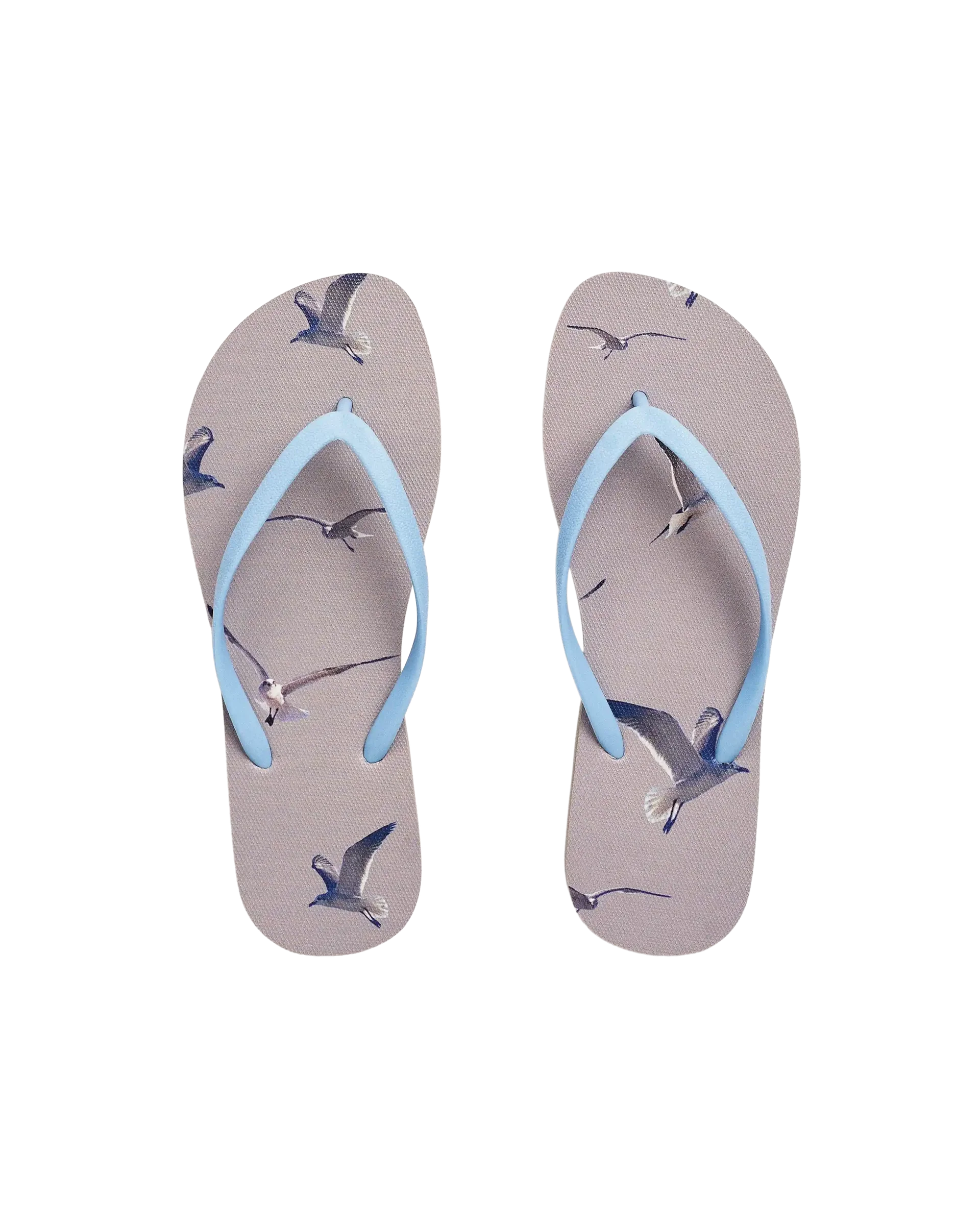 Taylor Swift - 1989 Seagull Sandal