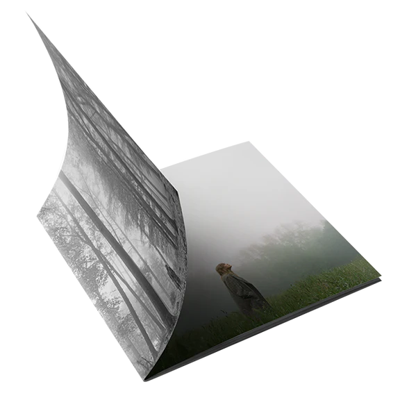 the “in the trees" edition deluxe cd