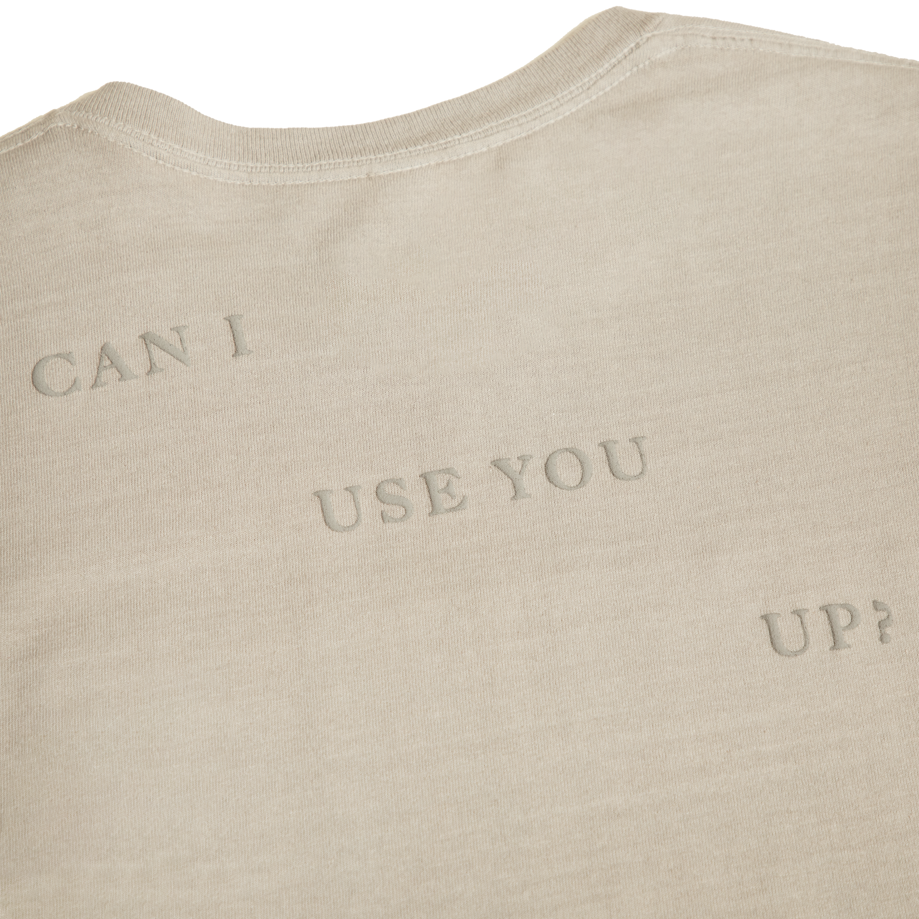 Taylor Swift - TTPD Florida!!! T-Shirt