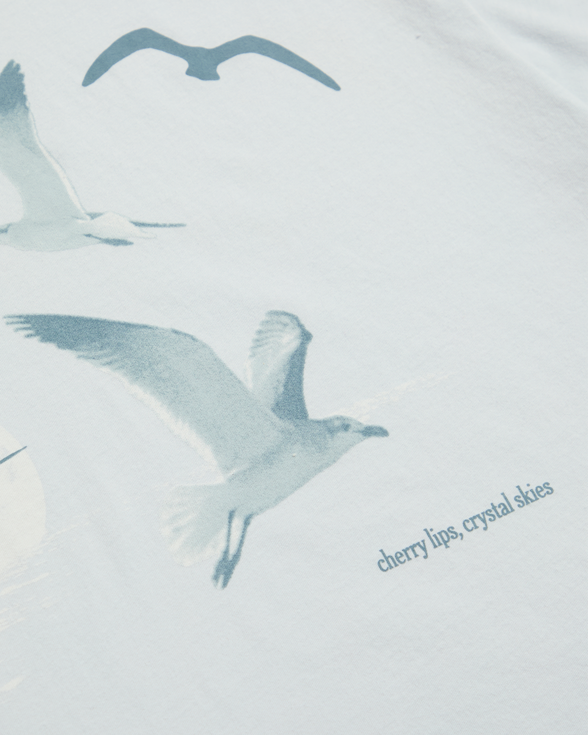 Taylor Swift - 1989 (Taylor’s Version) Seagull Boxy T-Shirt