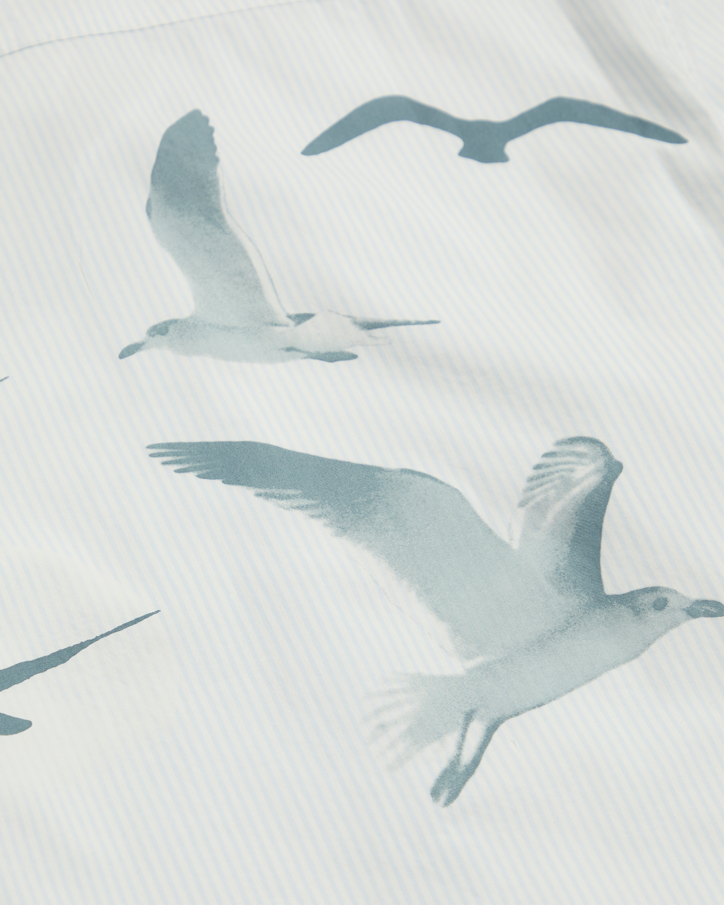 Taylor Swift - 1989 (Taylor’s Version) Seagull Blue Stripe Poplin Shirt