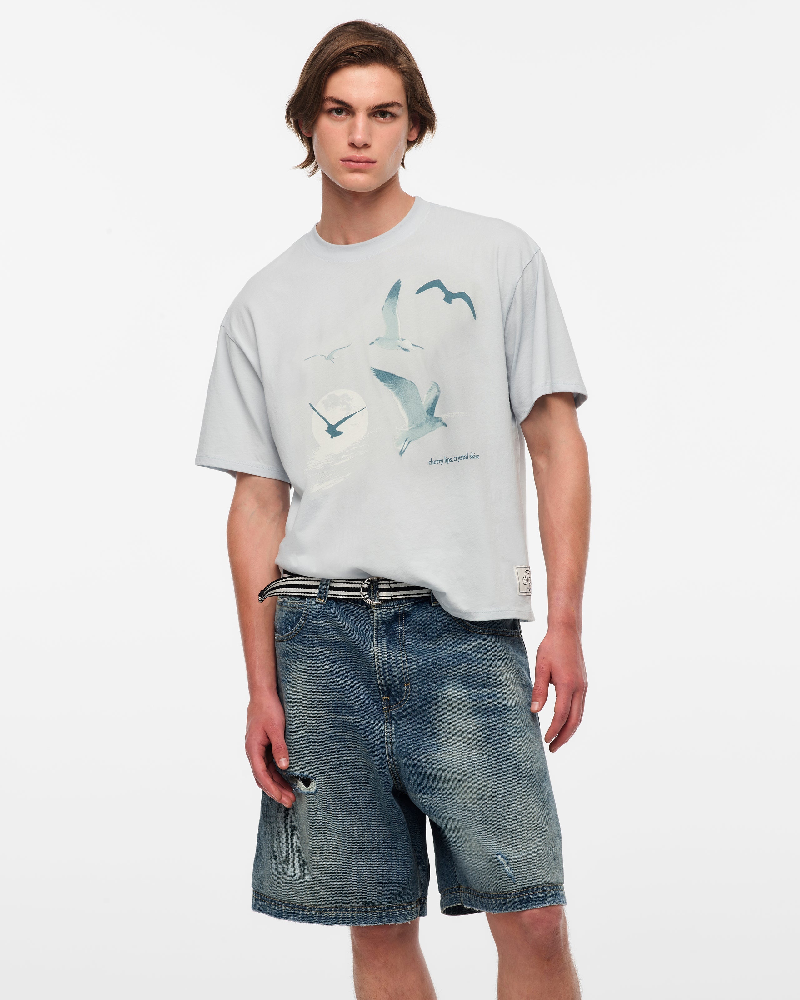 Taylor Swift - 1989 (Taylor’s Version) Seagull Boxy T-Shirt