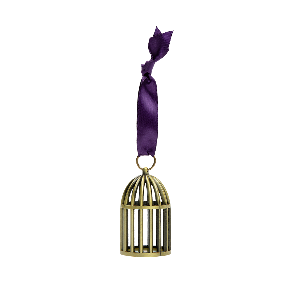 Taylor Swift - Speak Now (Taylor's Version) Bird Cage Ornament