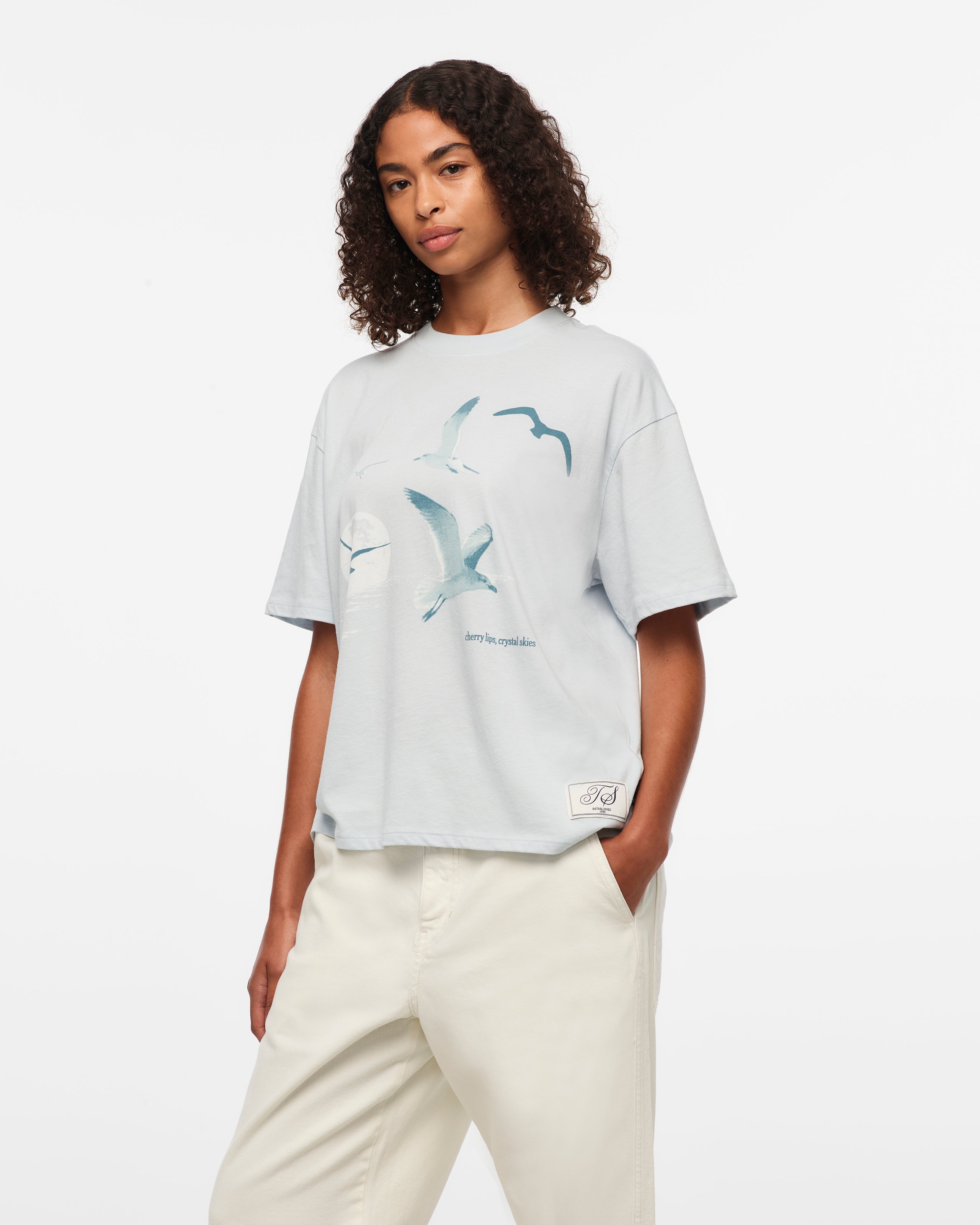 Taylor Swift - 1989 (Taylor’s Version) Seagull Boxy T-Shirt
